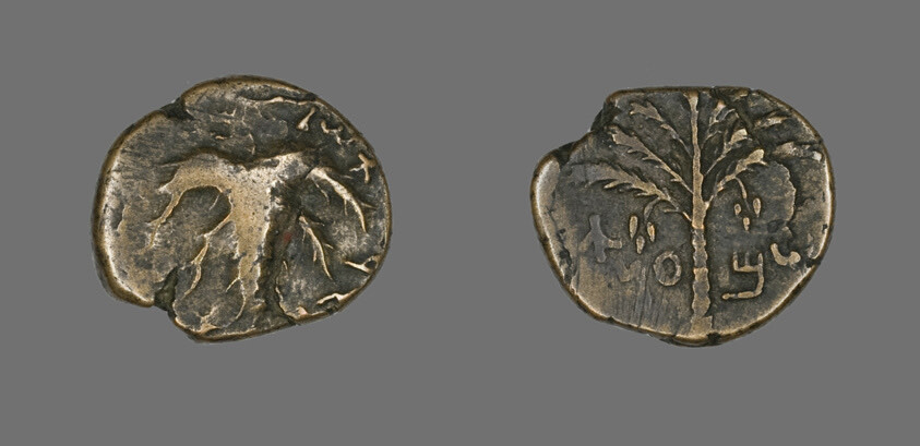 Coin Depicting a Seven-Branched Palm Tree