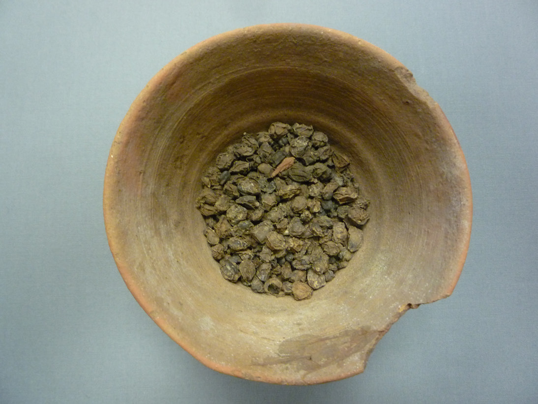 Bowl of Raisins