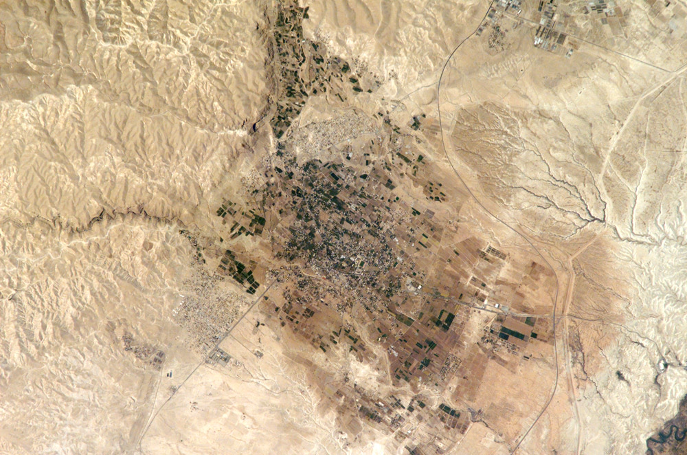 The oasis of Jericho