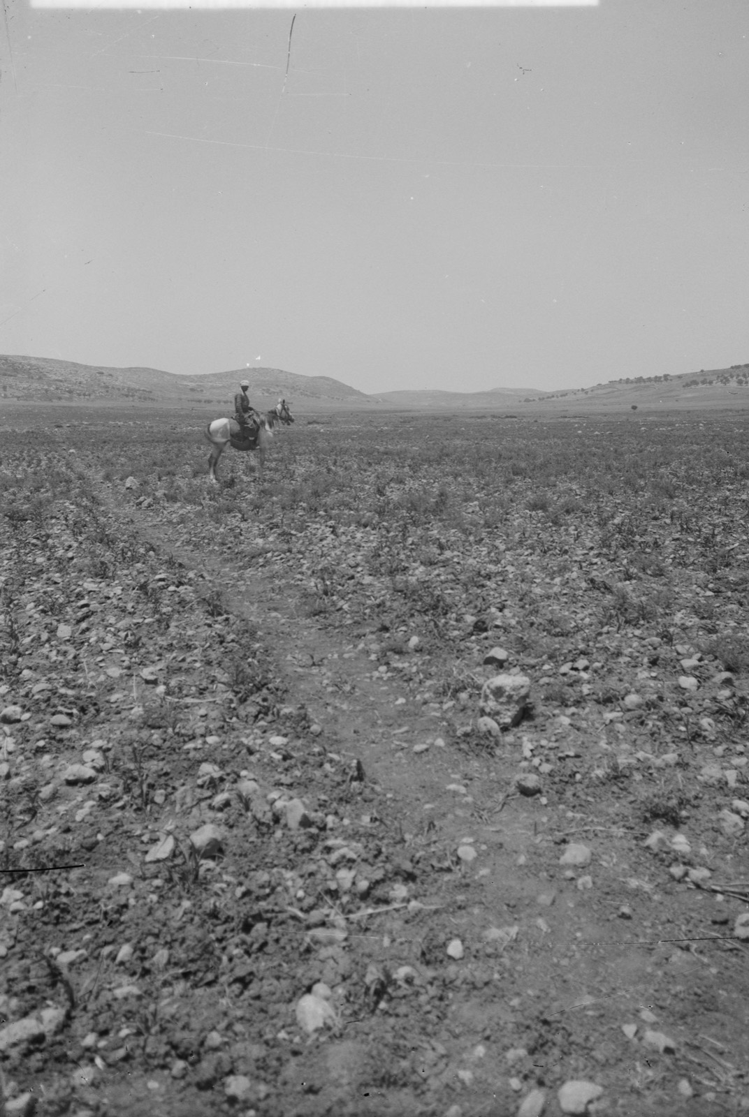 Southern Palestine. General view of Valley of Elah.