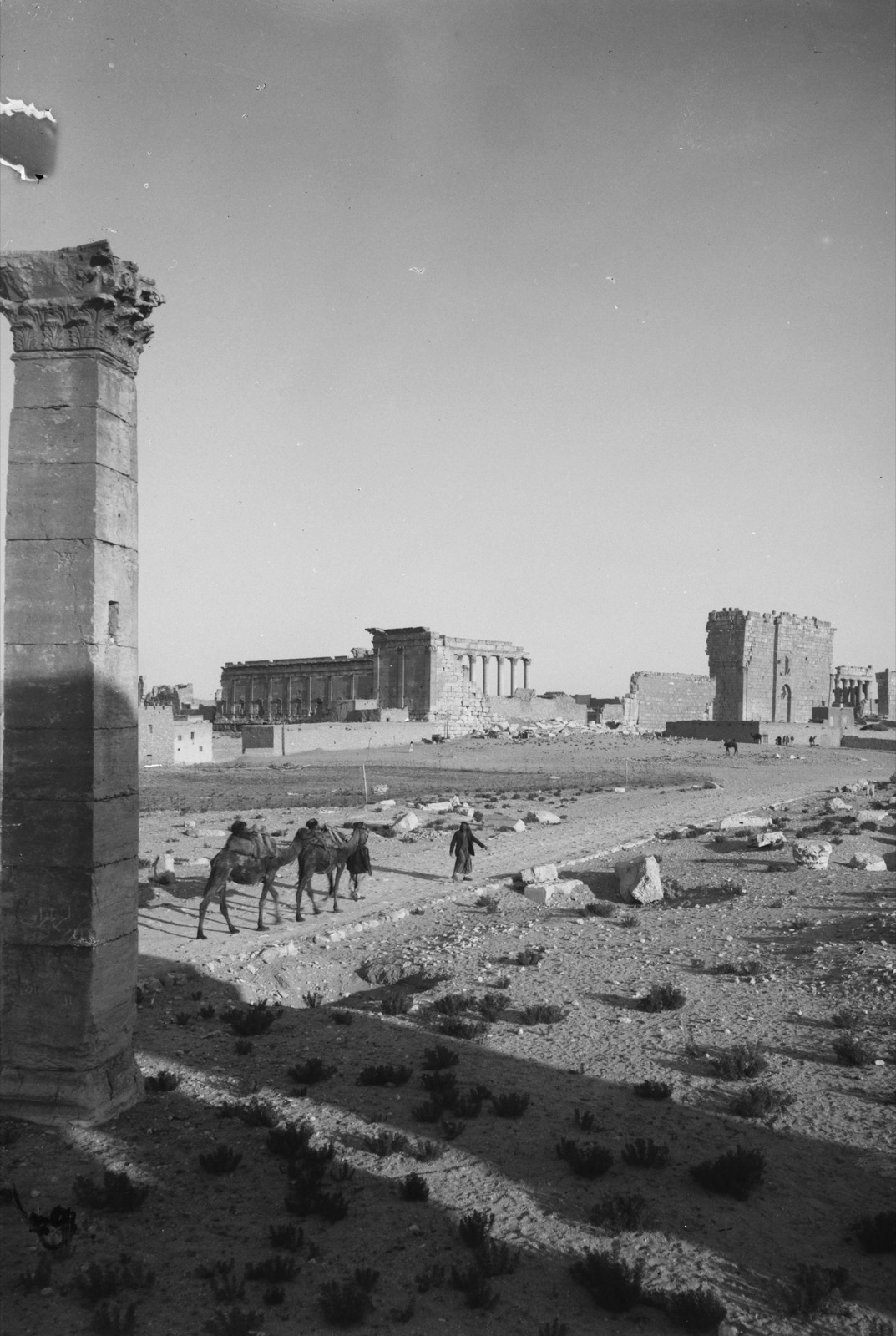 Palmyra (Tadmor). General view of Temple of the Sun