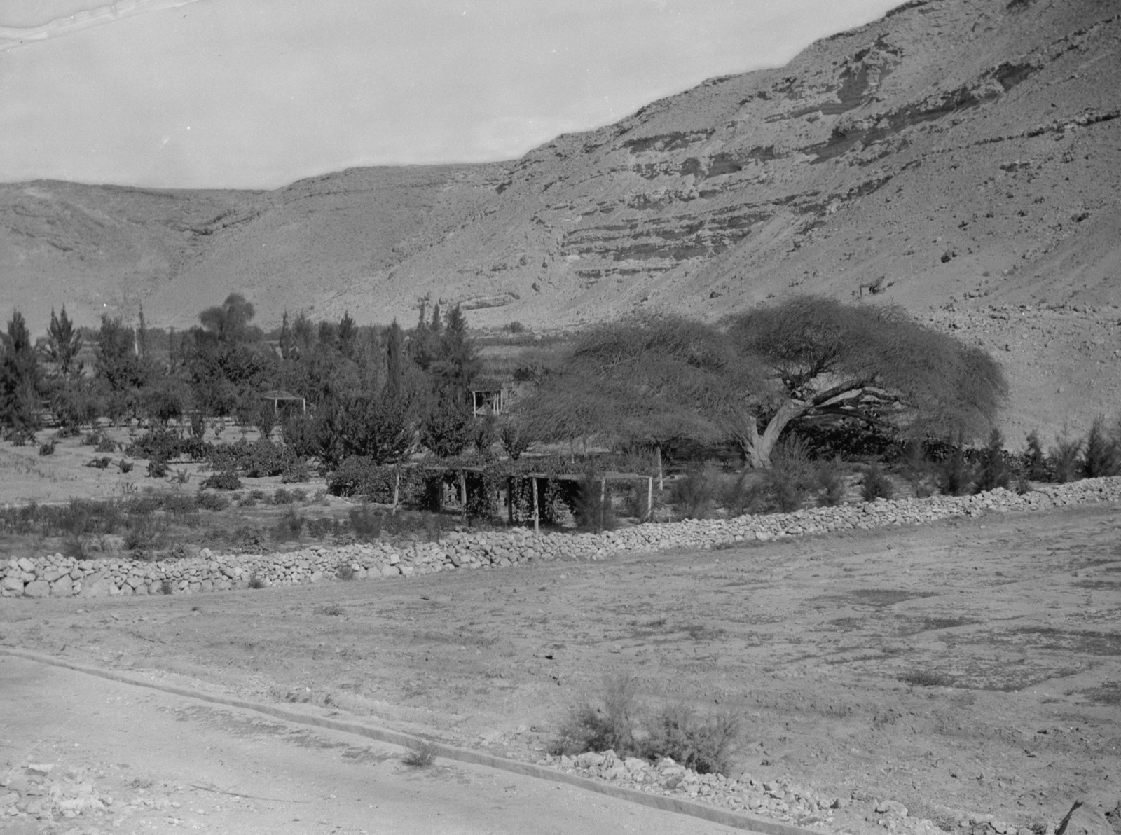 To Sinai by car. Ain Gedeirat. Possibly Kadesh Barnea of Num. 32:8, etc.