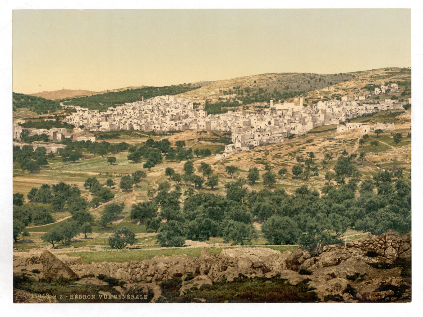 Hebron in its valley, among olive groves and vineyards, c. 1890–1900.