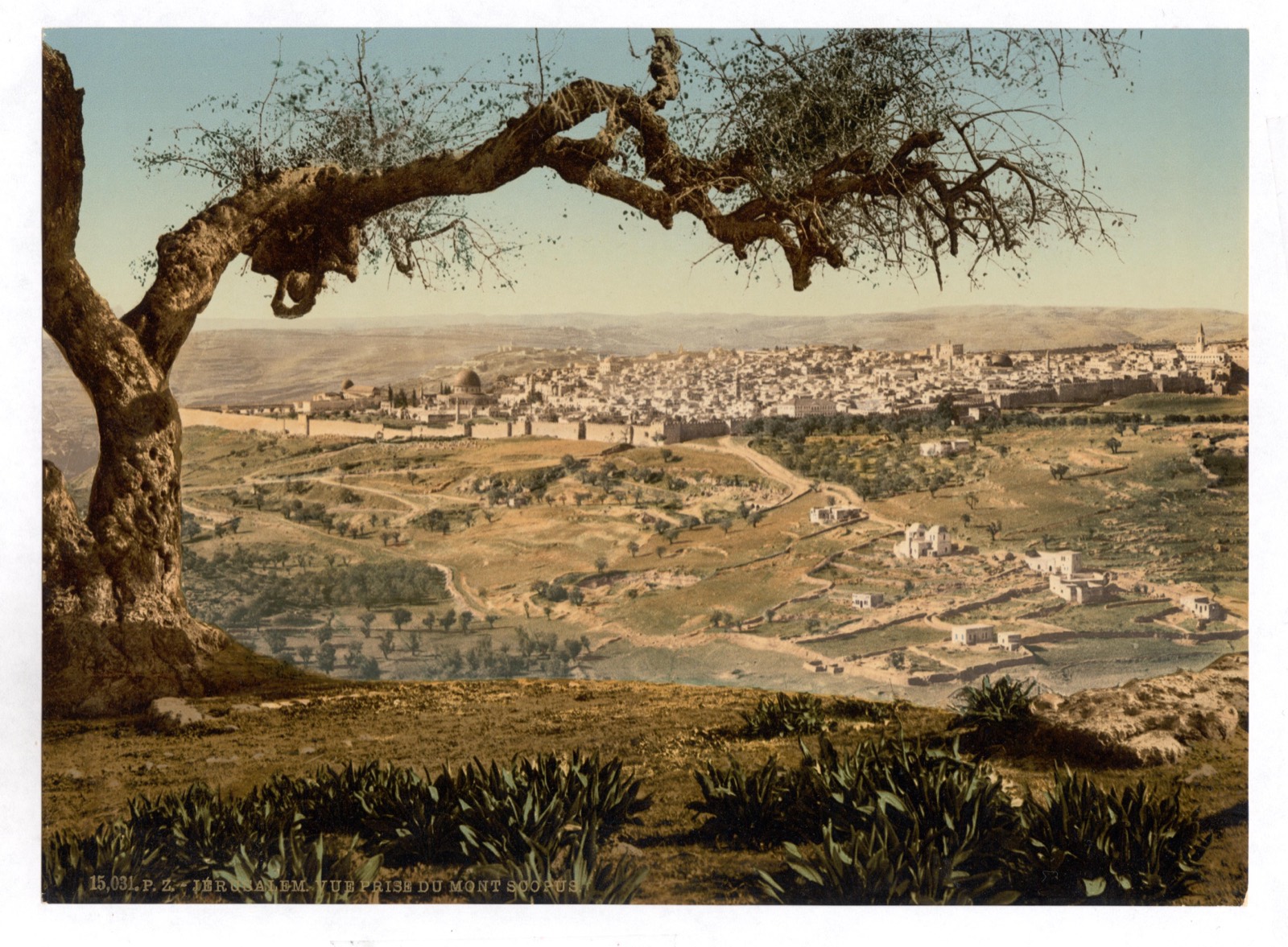 Jerusalem from Mount Scopus, to the north-east of the city, c. 1890–1900.