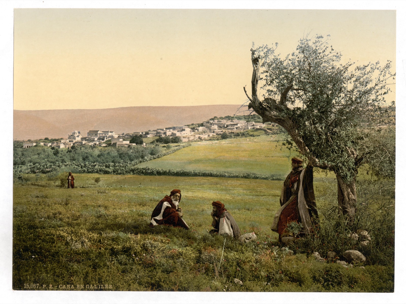 Селение Кафр-Кана, которое показывают как Кану Галилейскую, ок. 1890–1900 гг.