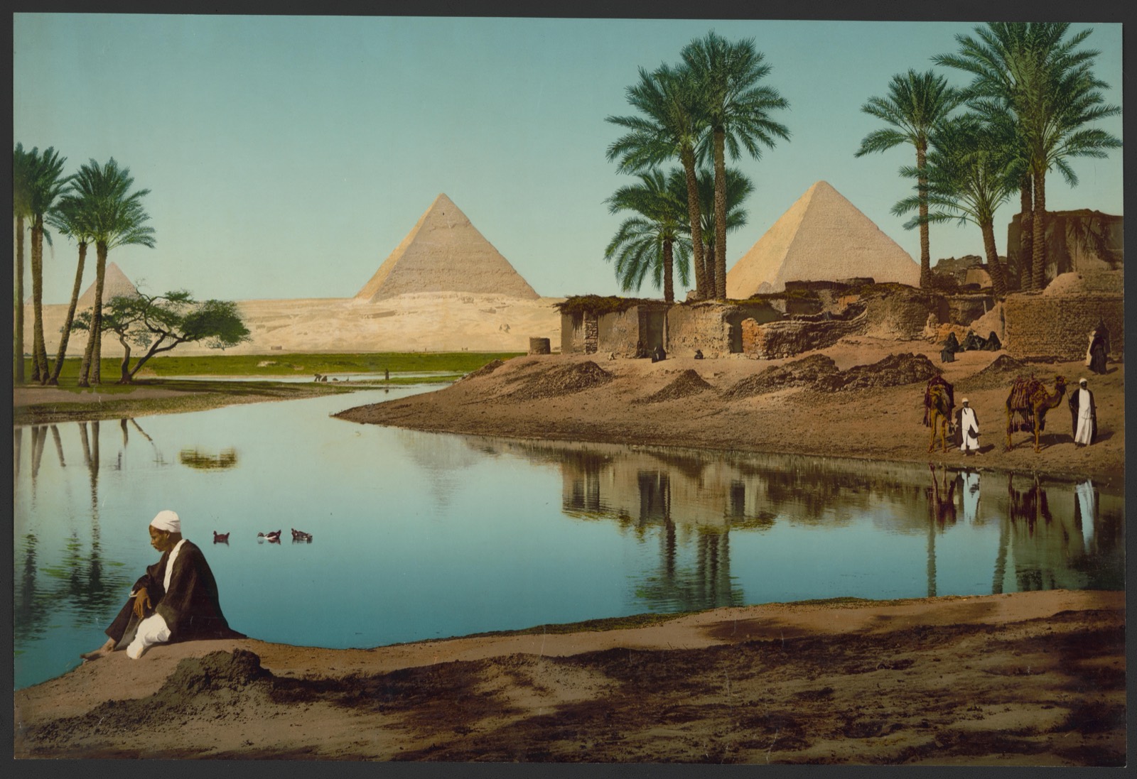 The pyramids of Giza beyond a pool and palm trees in the Nile valley, Egypt, c. 1890–1900.