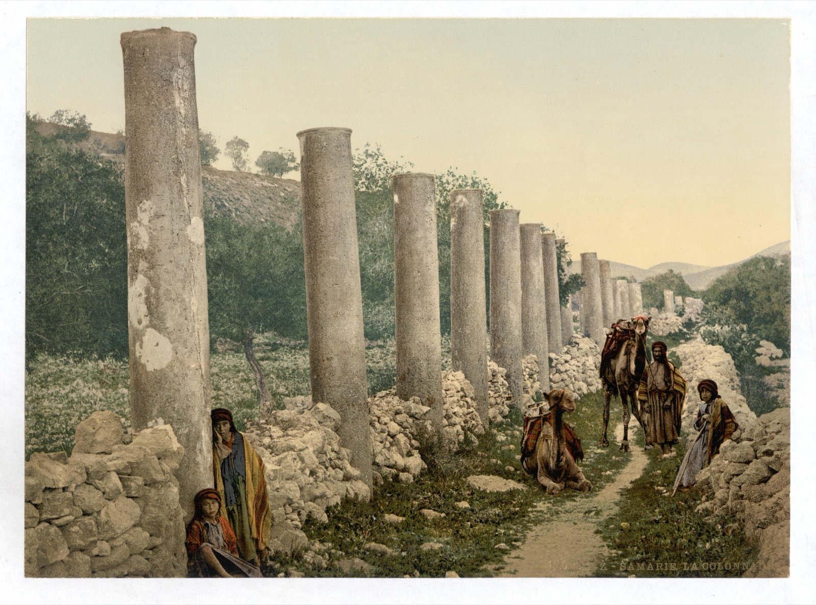 The row of ancient columns at Samaria (Sebastia), c. 1890–1900.