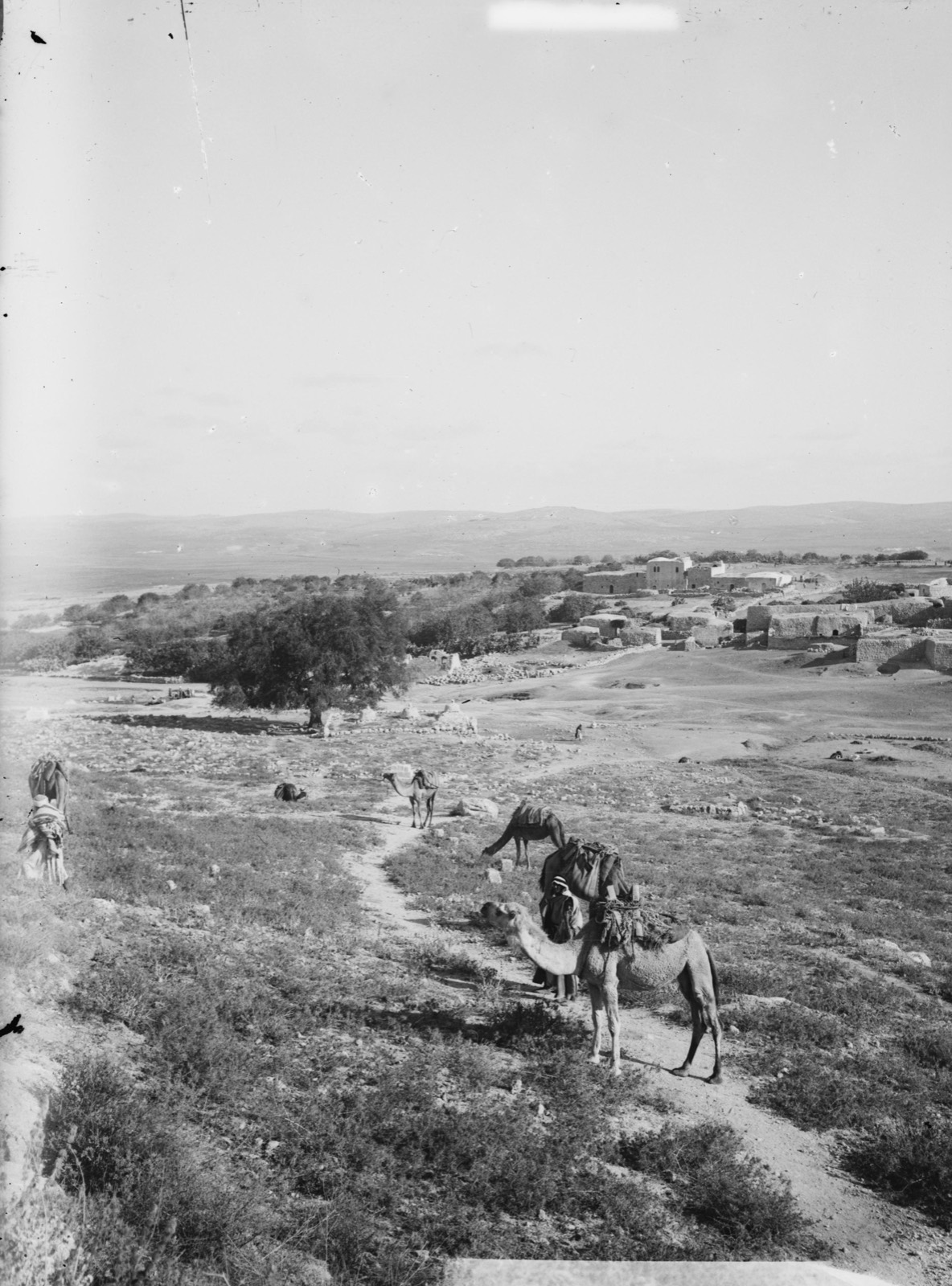 Jaffa to Jerusalem. Village of Amwas (Emmaus?)