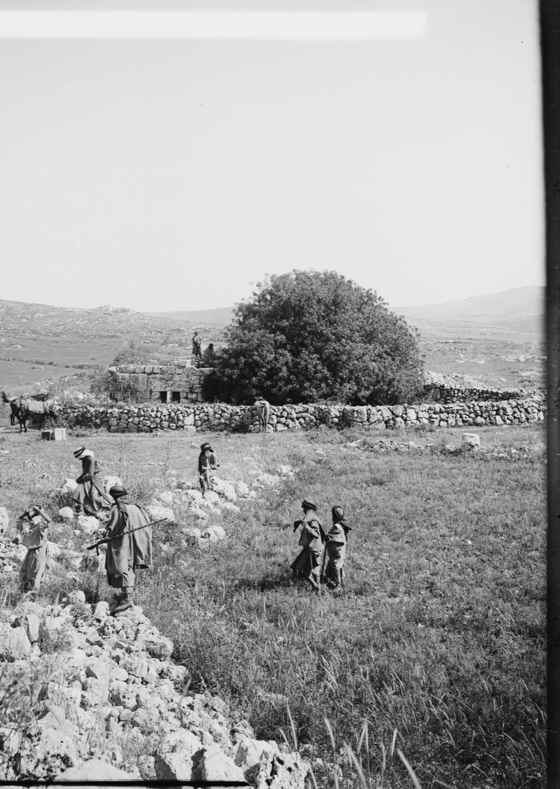 Northern views. Ruins of Shiloh (Seilun)