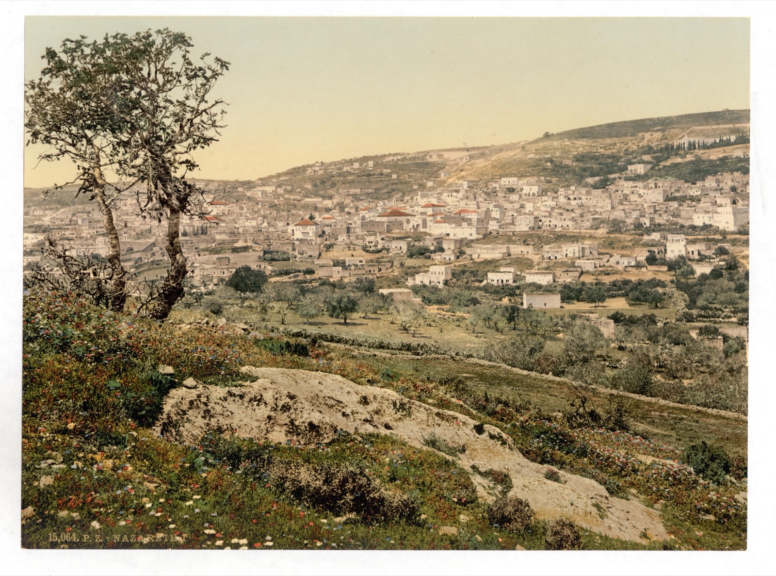 Nazareth on its hillside, seen from the east, c. 1890–1900.