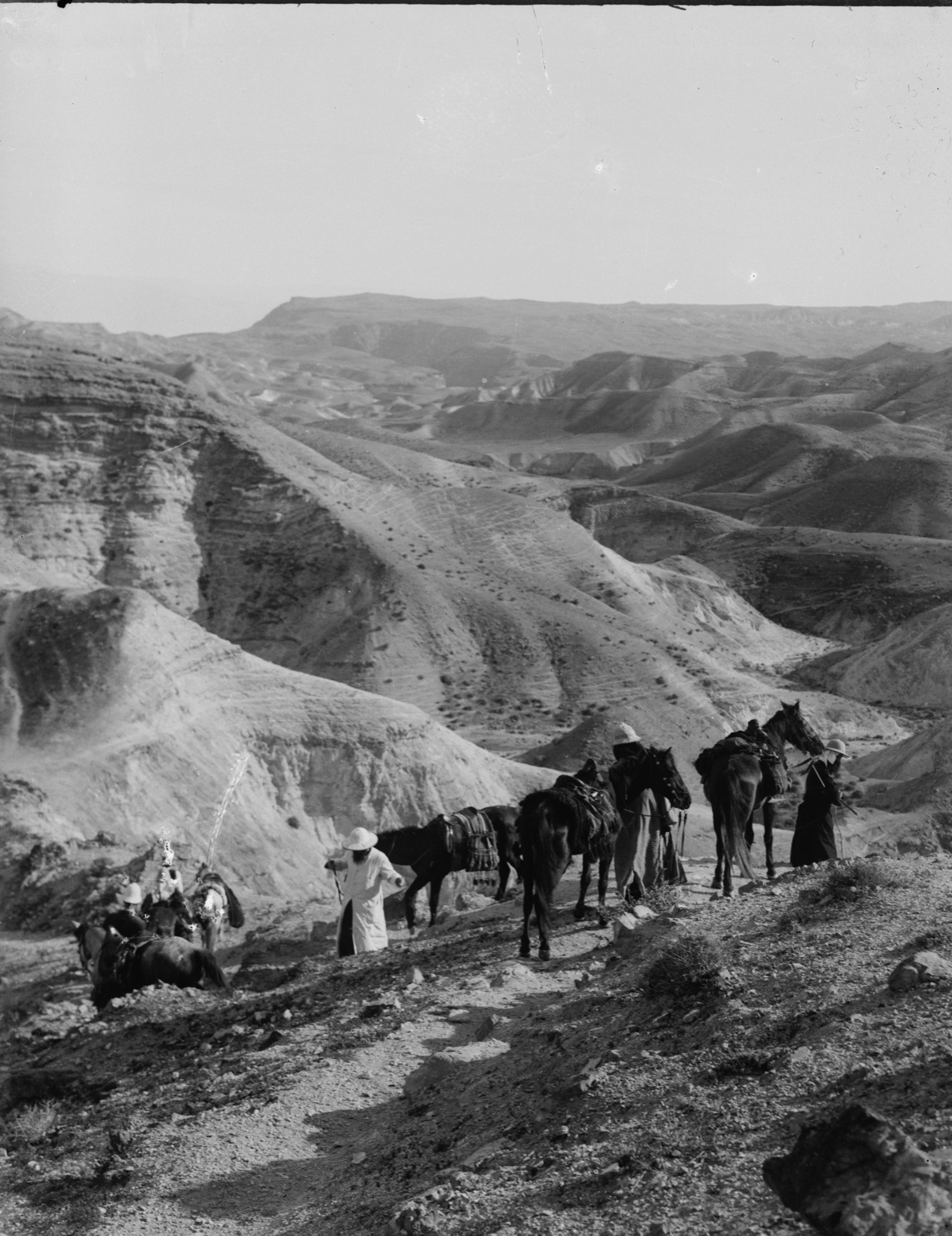 Southern Palestine. Wilderness of Tekoah