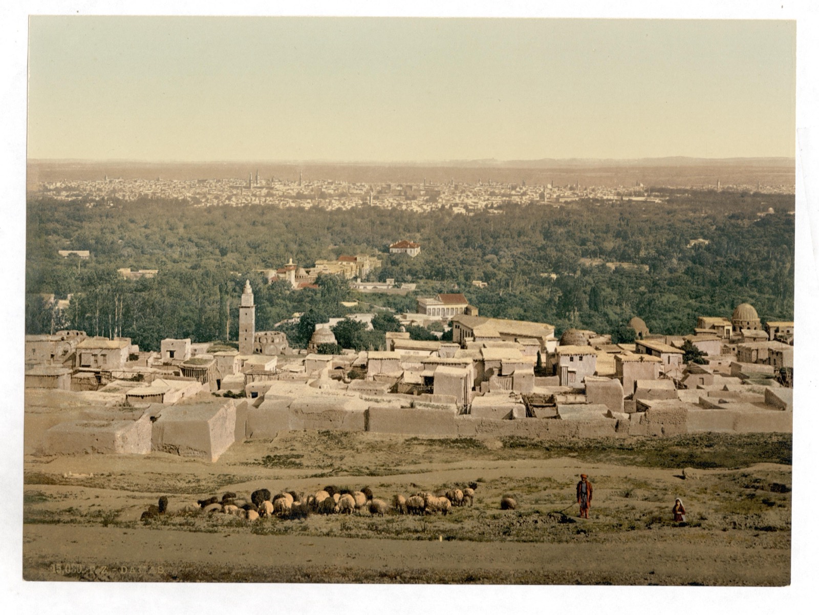 Damascus from the hills to the west, with the city's orchards around it, c. 1890–1900.