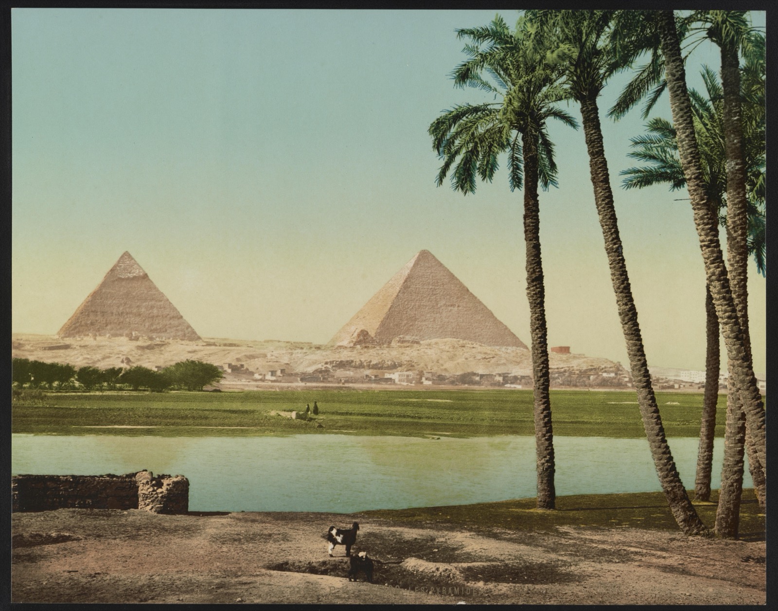 The pyramids of Giza seen across water and fields in the Nile valley, Egypt, c. 1890–1900.