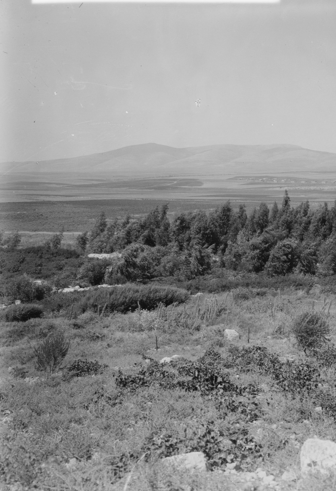Northern views. Hill of Moreh and the Plain of Esdraelon