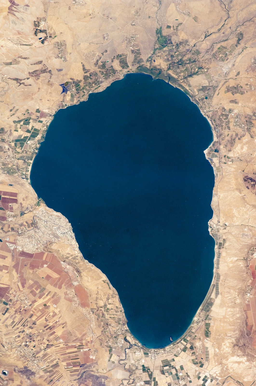 The Sea of Galilee