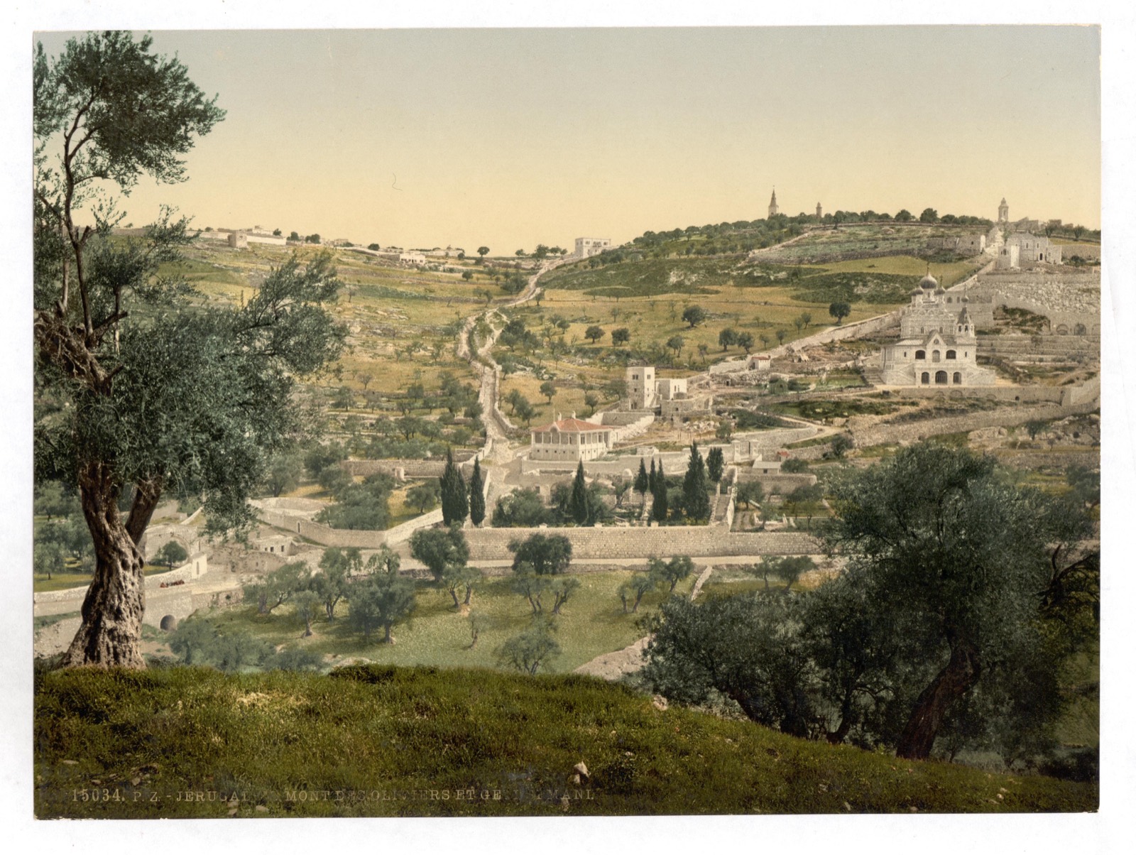 Западный склон горы Елеонской над Гефсиманским садом, ок. 1890–1900 гг.