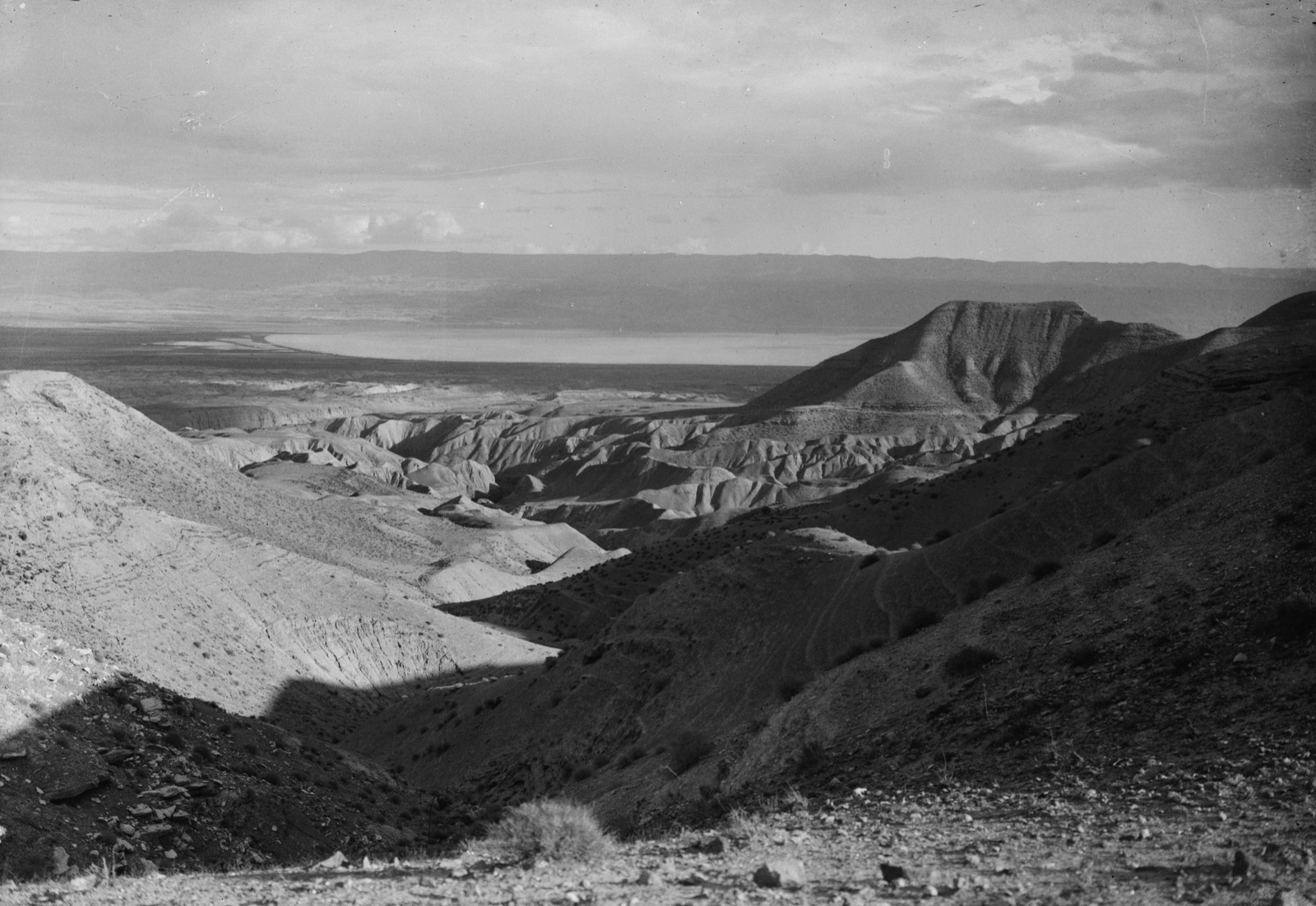 Dead Sea and wilderness of Judea. (Moab mountains in the background)
