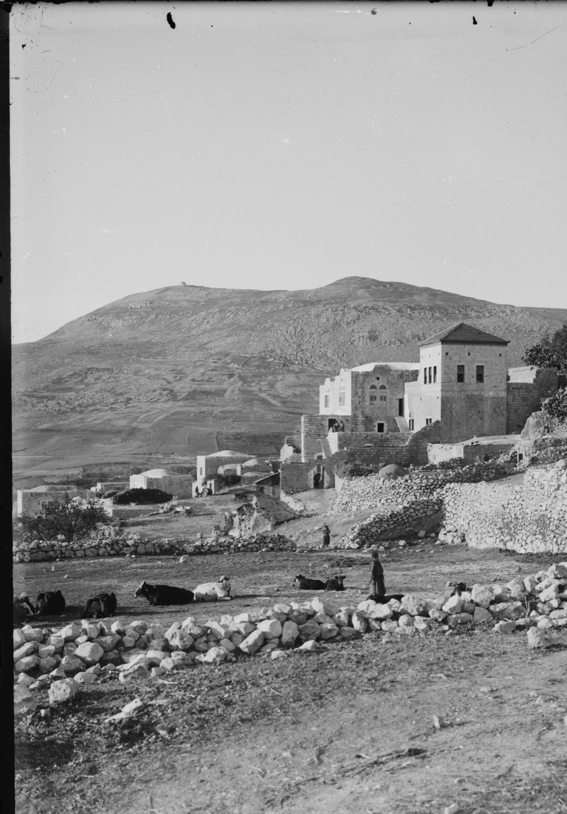Northern views. Sychar (Asker) and Mt. Gerizim