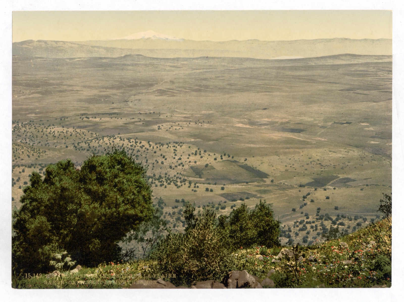 Snow-capped Mount Hermon far to the north, seen across the plain from the area of Mount Tabor, c. 1890–1900.