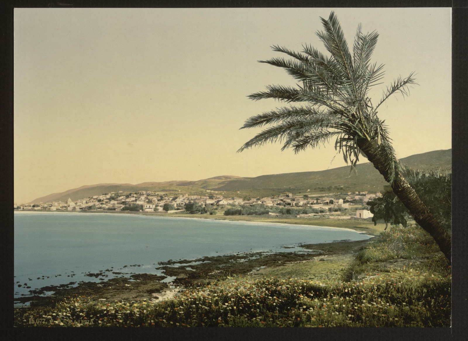 Haifa on the bay at the foot of Mount Carmel, c. 1890–1900.