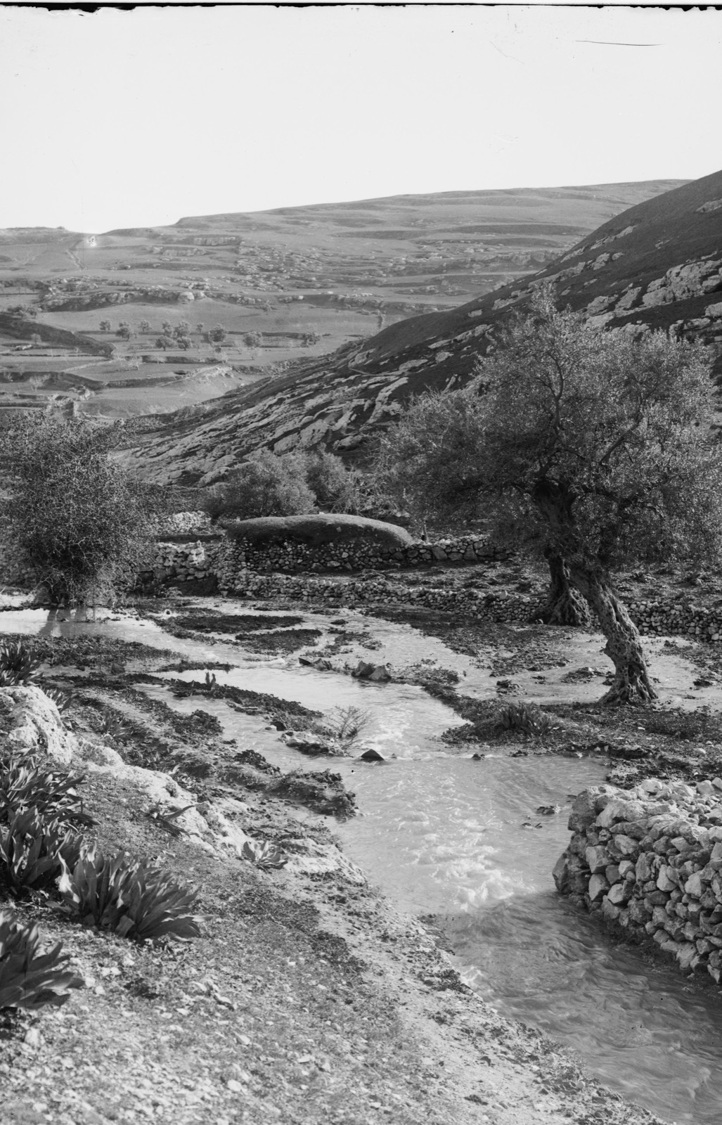 Valleys of Jehoshaphat and Hinnom. Brook Kedron [i.e., Kidron] in winter.