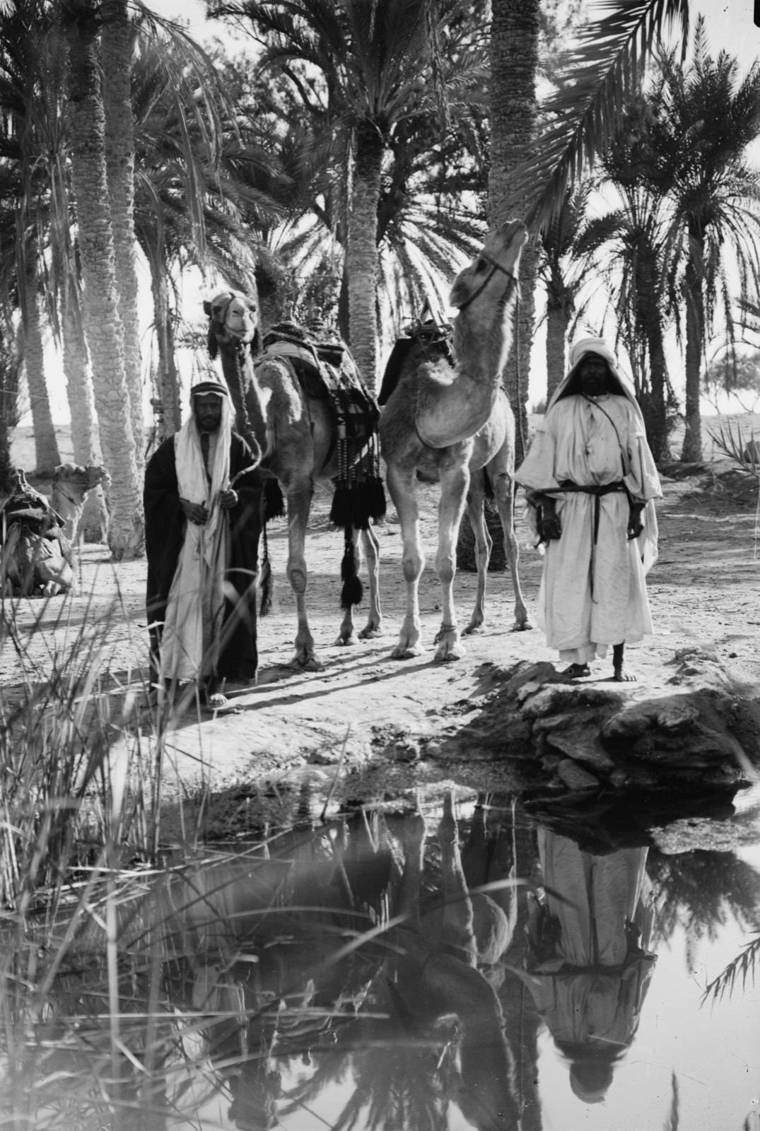 To Sinai via the desert. Scene at the Springs of Moses; (Marah?).